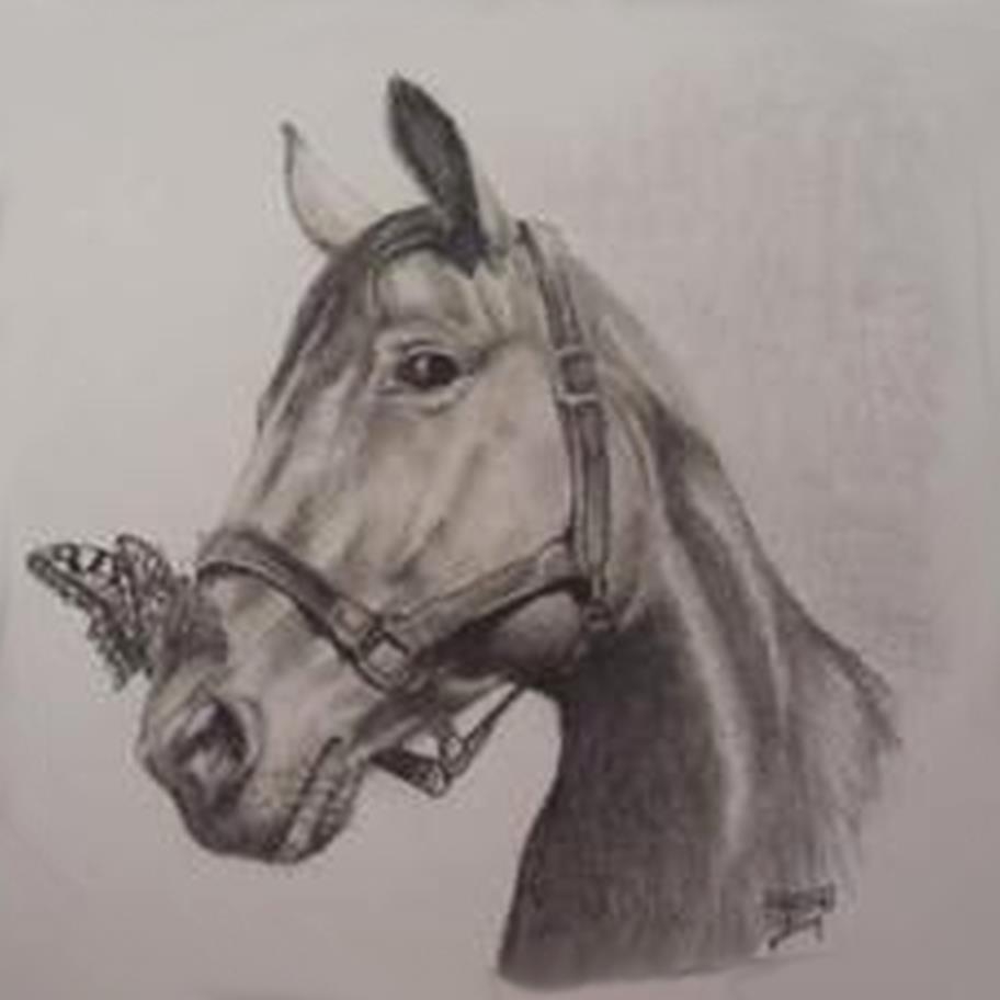 cheval.jpg